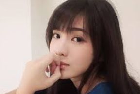 公司介绍